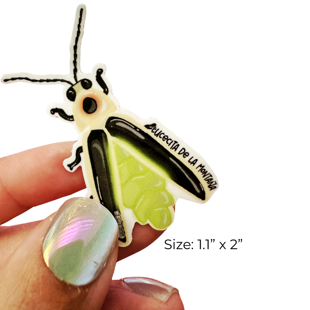 Puertorriqueña Completo | 20% de Descuento