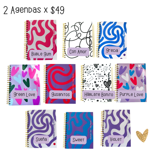 Agenda 2 X $49